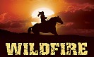 Wildfire